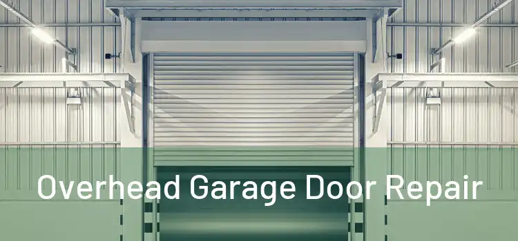  Overhead Garage Door Repair 